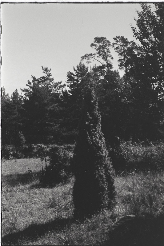 Filmi "Kihnu pulmakombed" filmimise ajal tehtud fotod. 1953.-1956. a.