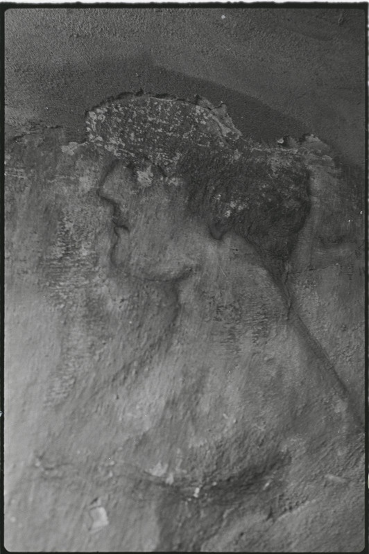 Tartu ülikooli peahoone kartseri seina joonised. Juuni 1977. a.