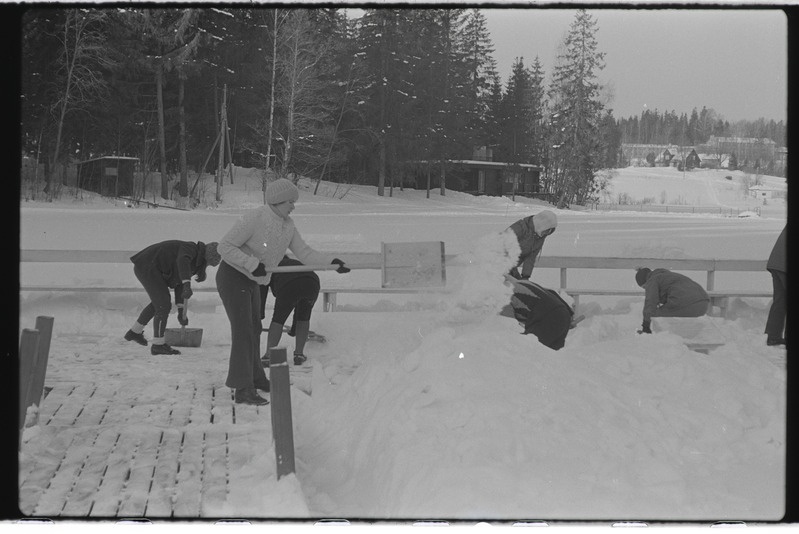 Tartu ülikooli majandusteaduskonna üliõpilased Käärikul puhkelaagris. Veebruar 1976. a.