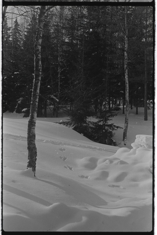 Tartu ülikooli majandusteaduskonna üliõpilased Käärikul puhkelaagris. Veebruar 1976. a.