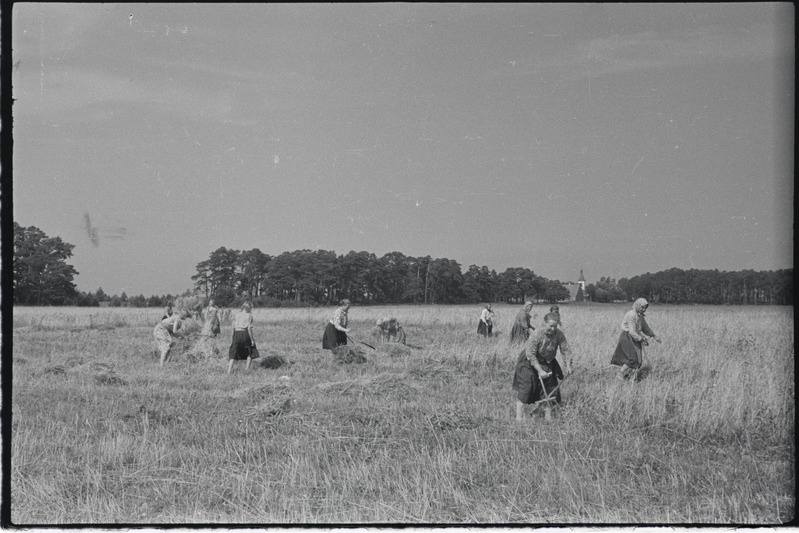 Filmi "Kihnu pulmakombed" filmimise ajal tehtud fotod. 1953.-1956. a.