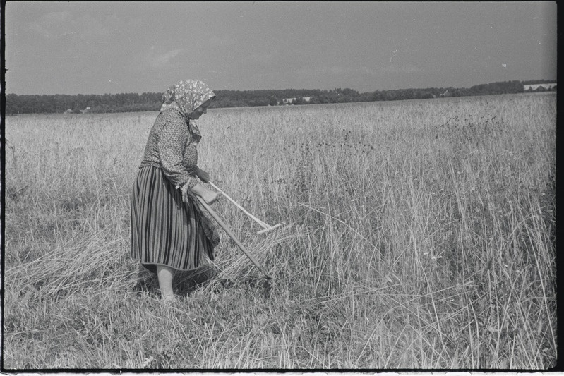 Filmi "Kihnu pulmakombed" filmimise ajal tehtud fotod. 1953.-1956. a.