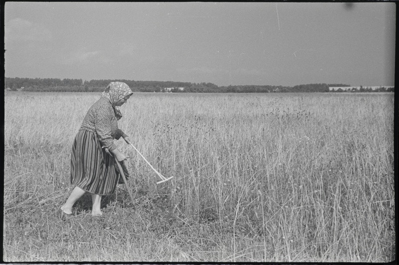 Filmi "Kihnu pulmakombed" filmimise ajal tehtud fotod. 1953.-1956. a.