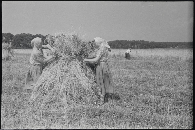 Filmi "Kihnu pulmakombed" filmimise ajal tehtud fotod. 1953.-1956. a.