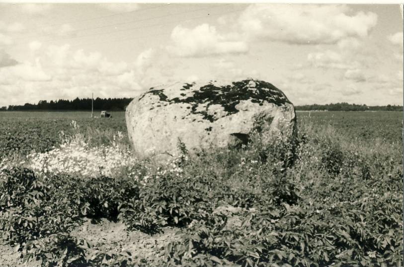 Ohvrikivi Haljalas