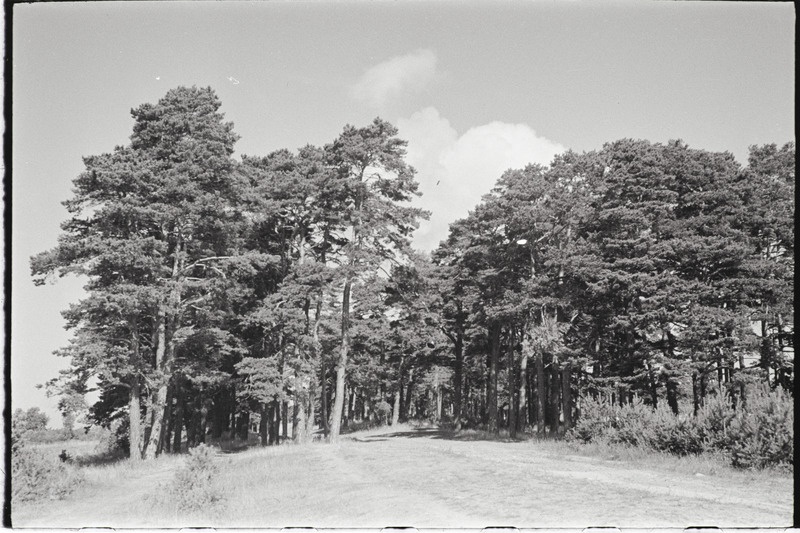 Filmi "Kihnu pulmakombed" filmimise ajal tehtud fotod. 1953.-1956. a.