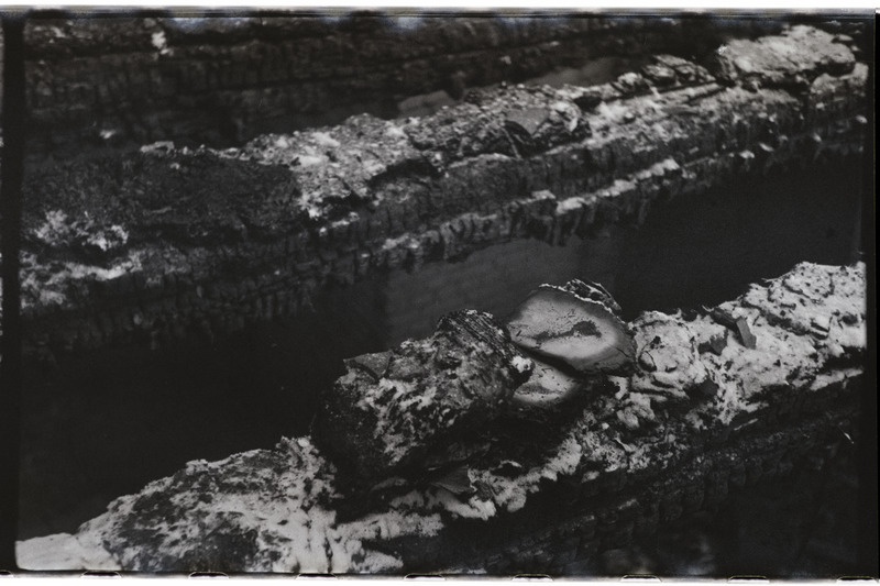 Põlenud raamatud Tartu ülikooli peahoones 1966. a.