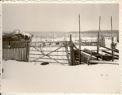 foto, Vargamäe 1958.a.
