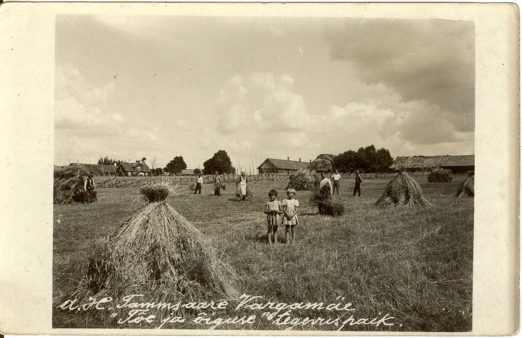 Vargamäe Vetepere külas