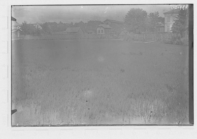 Meltsiveski tiik Tartus (Hippuris vulg.) suvel, 1921  similar photo