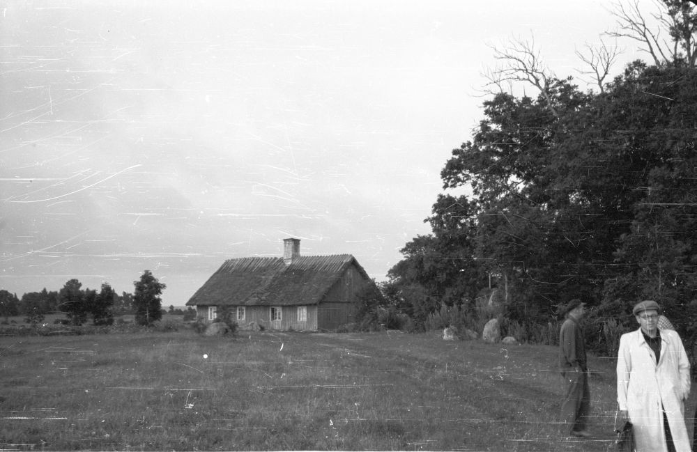 Elumaja Saarnaki laiul