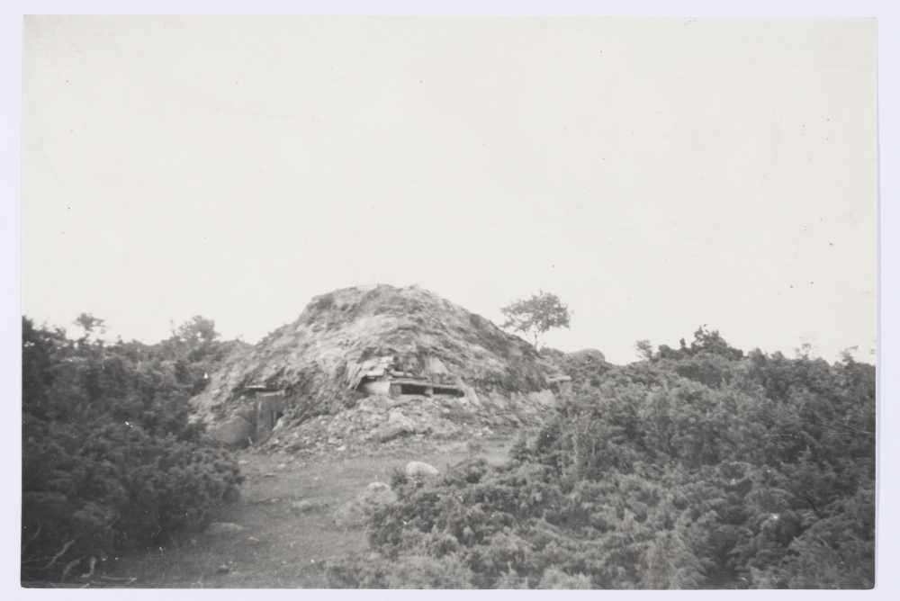 Kalurite saun Saarnaki laiul.