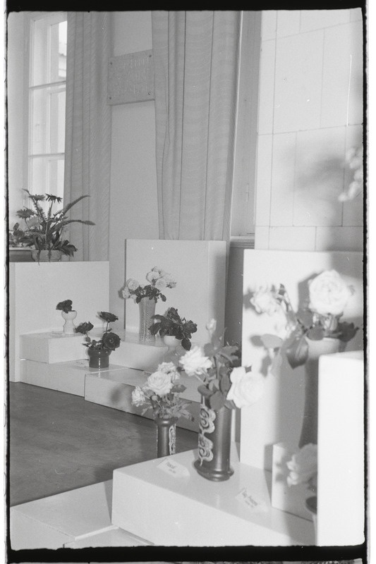 Tartu ülikooli botaanikaaia 175. aastapäeva näitus 1978. a.
