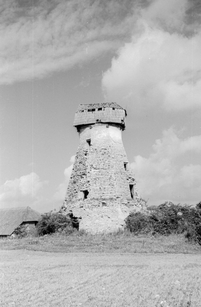 Hollandi tuulik Alu asulas