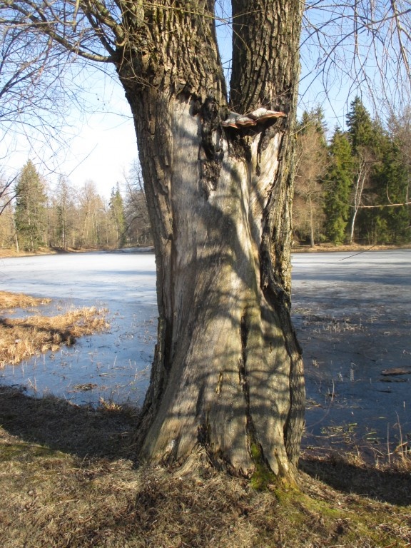 Alu Manor Park