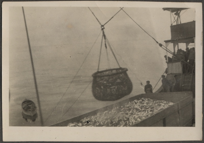 Kalasaagi tõstmine heeringapüügi baaslaevale "Eestirand"