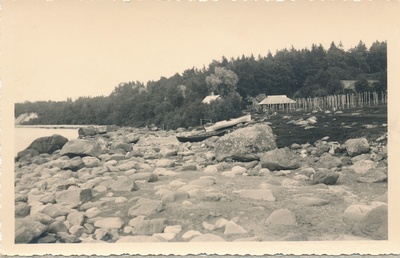 Utria  duplicate photo