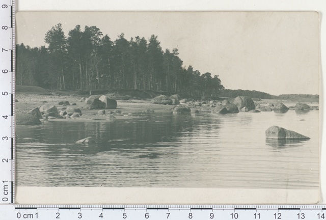 Soome lahe kallas Utria lähedal