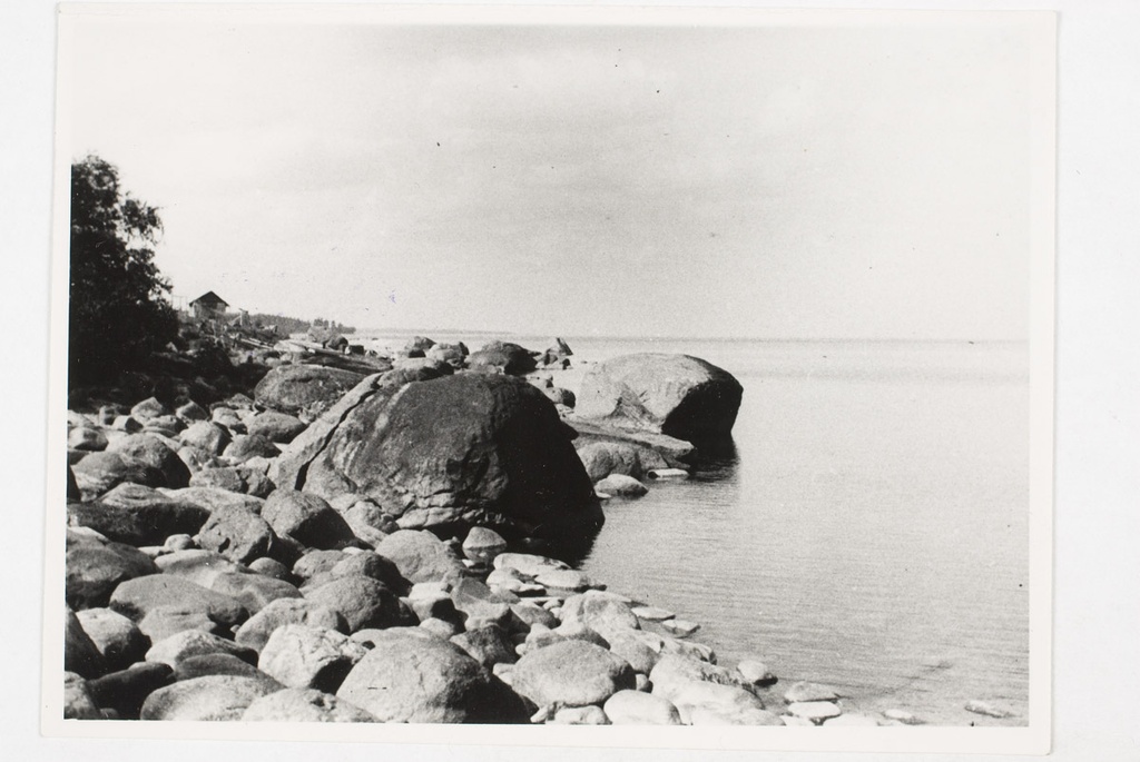 Suuremaid kive rannal Utria küla all.
