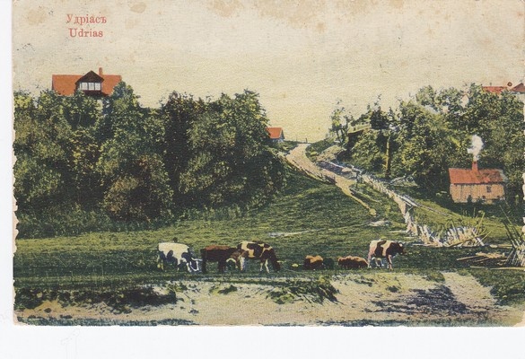 Udria