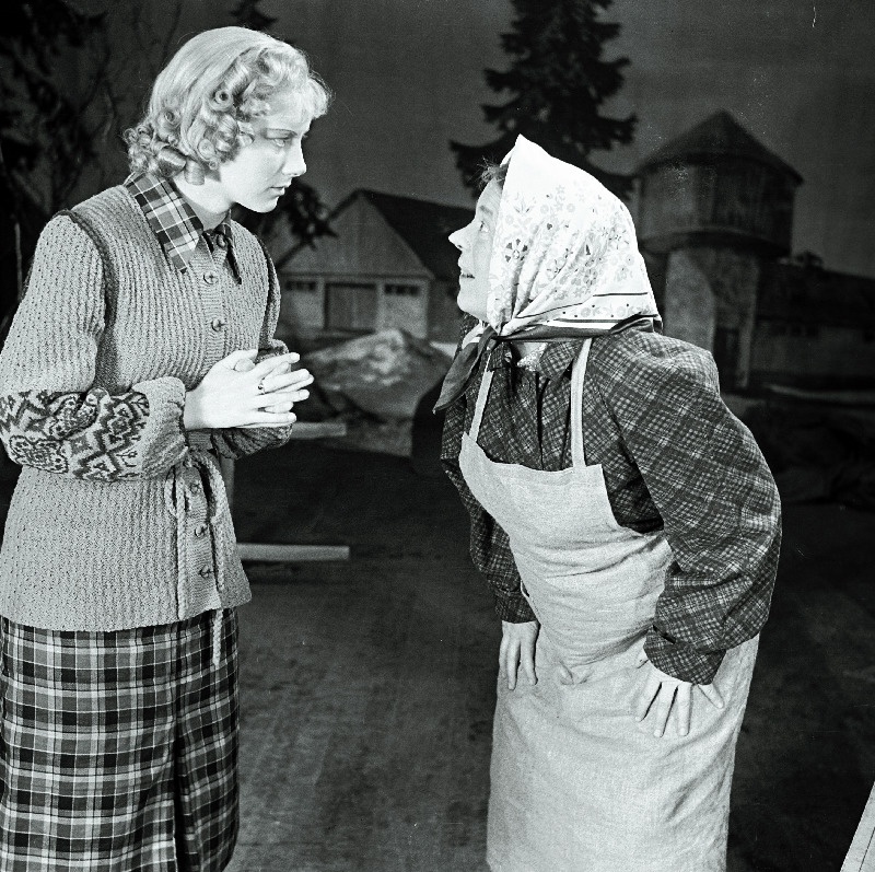 Stseen L. Kahase komöödiast Pähklimägi. Leili - Ellu Puudist, Aavo Koskel - Kalju Karask.