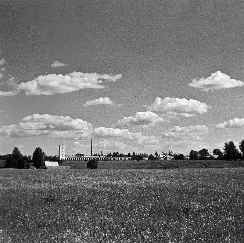 Vaade Põlva linavabrikule.