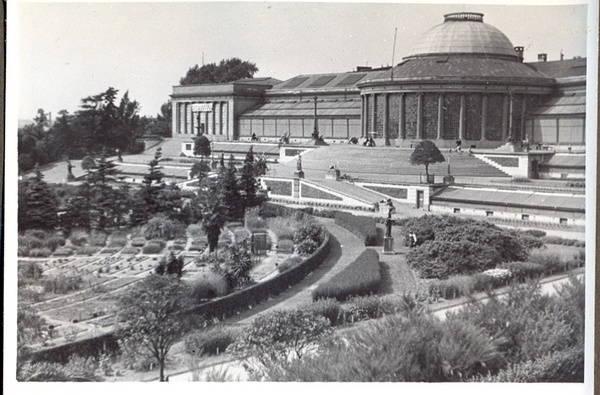 Foto Brüsseli botaanikaaed 25.06.1938