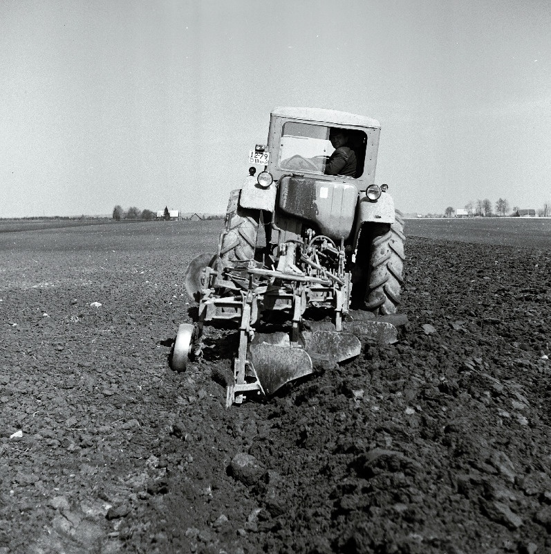 Põllutööd Jõgeva näidissovhoosis.