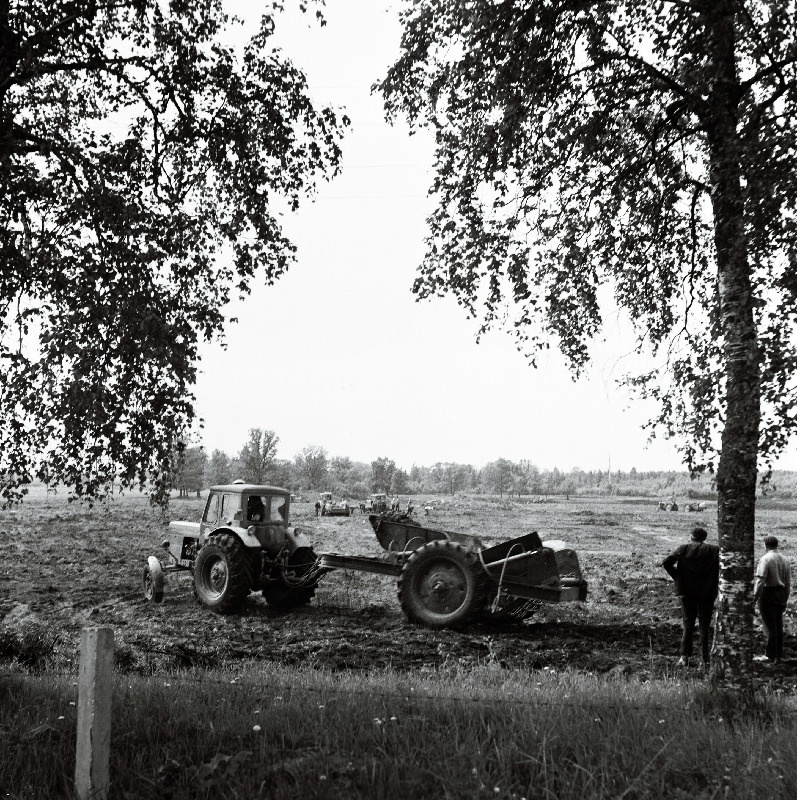 Põllutööd Vinni näidissovhoostehnikumis.