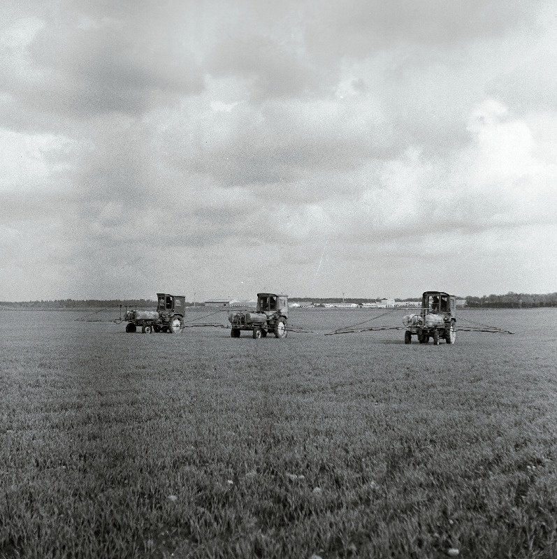 Umbrohutõrje Vinni näidissovhoostehnikumi põllul.
