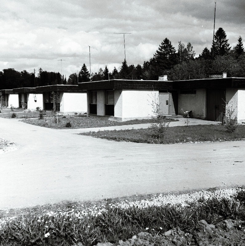 Vaade hoonetele Vinni näidissovhoostehnikumis.