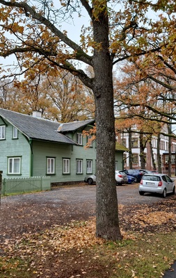 Heiti Talviku residence in Pärnu, Ringi (Brackmanni) tn. 13 rephoto