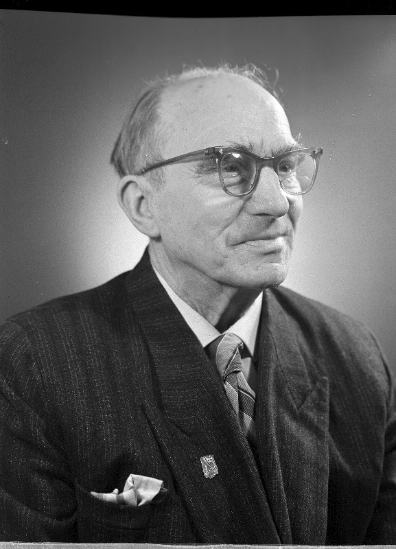 V.Kingissepa nimelise TRA Draamateatri näitleja Ants Jõgi.