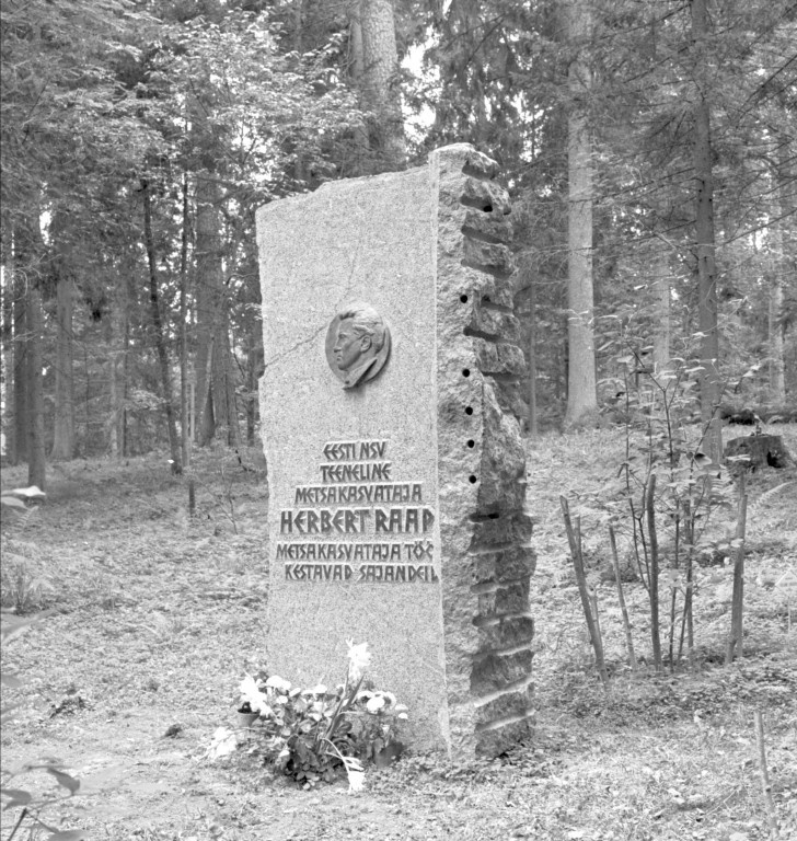 Herbert Raabi monument stone Valga County Sangaste park Sangaste park