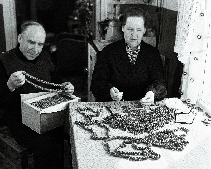 Edasi kolhoosi puunööpide valmistajad abielupaar Kesselid nööpe sorteerimas.