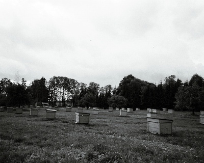 Adavere sovhoosi mesila.  duplicate photo