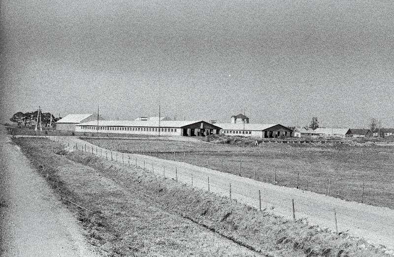 Saku näidissovhoosi karjalaudad.