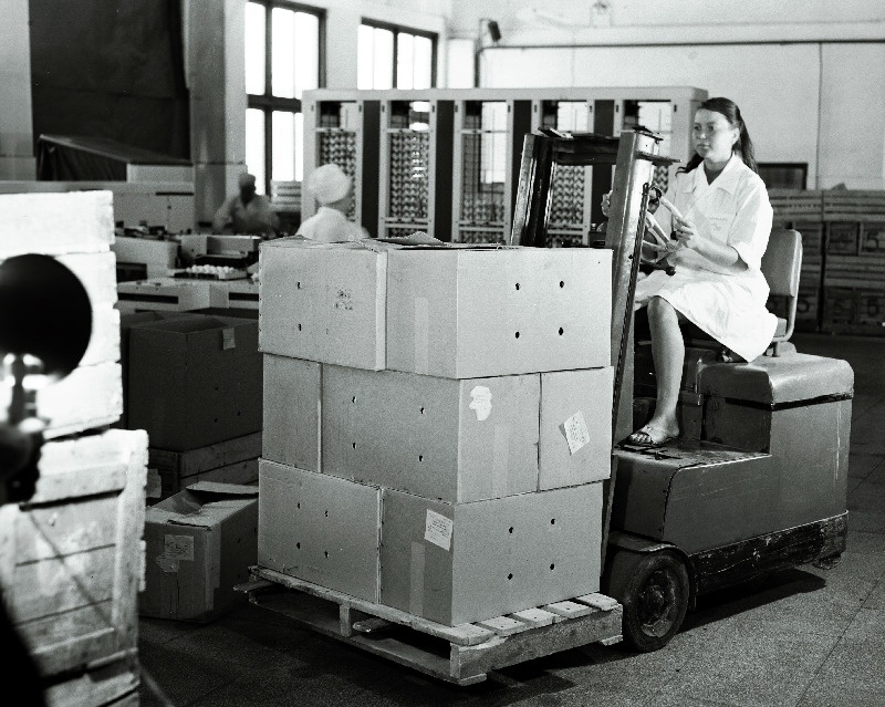 Kanamunade transportimine Tallinna Linnuvabrikus.