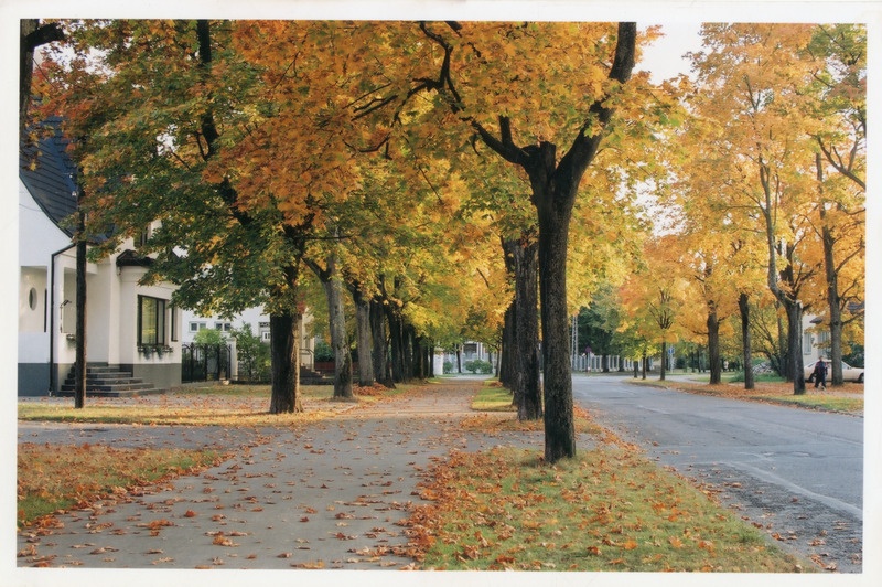 Foto. Pärnus Mere pst kõnnitee