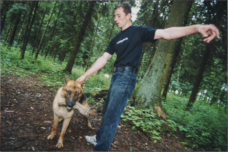 Teenistuskoer treeningul.