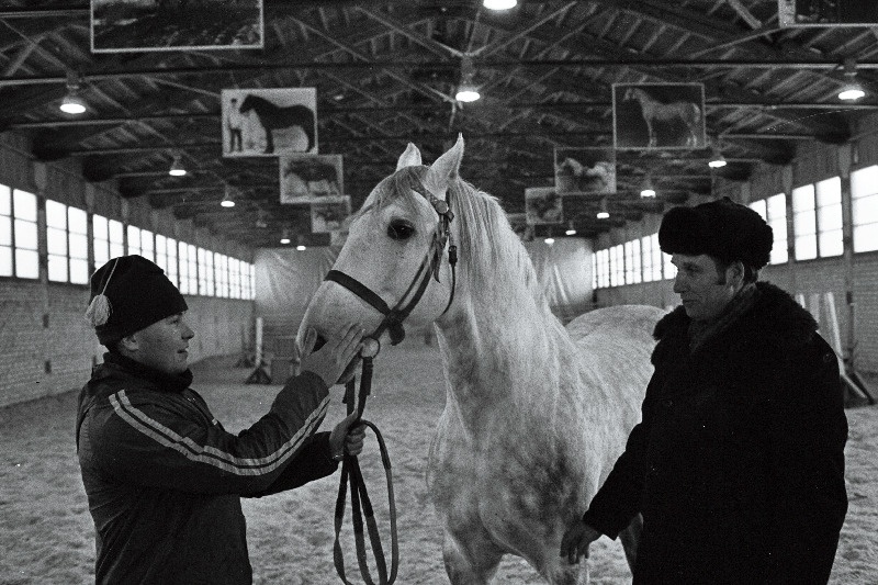 Harju rajooni A. Sommerlingi nimelise sovhoosi ratsaspordi vanemtreener Vello Viira ja Afganistanis sõjaväes teeninud ratsasportlane Pentti Pilnik ratsaspordimaneežis.
