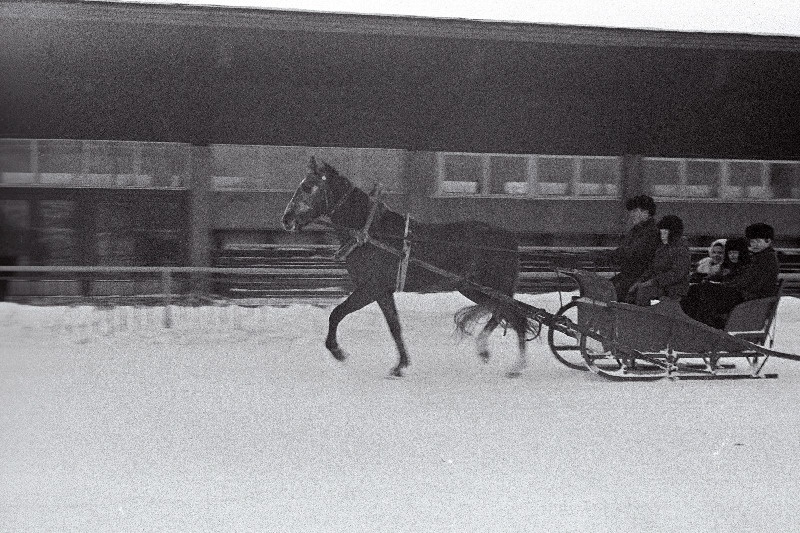 Tallinna Hipodroomi abisõitja, brigadiri abi Ülo Kiis orlovi traavli Kapsuliga saanisõidul.