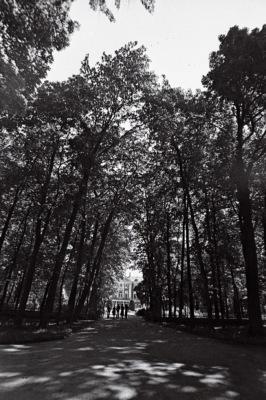 Kadrioru pargi vaade.