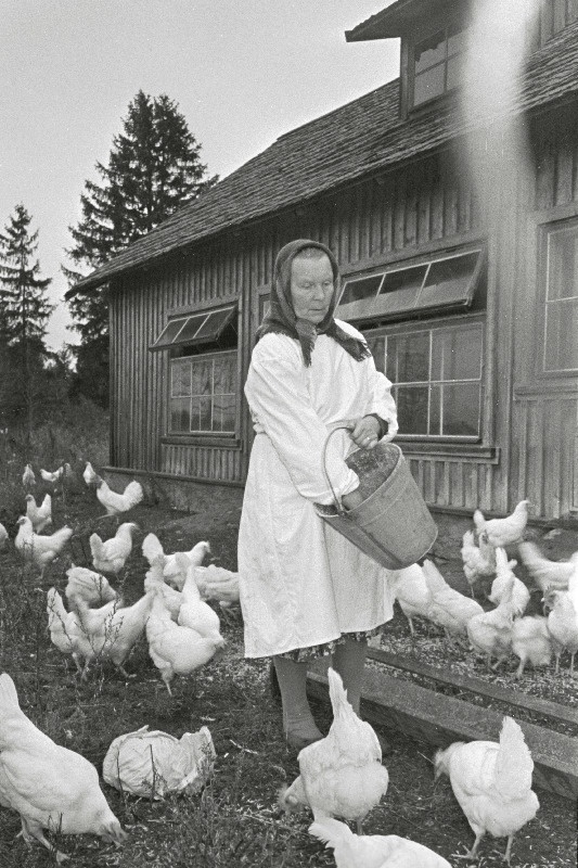 Keila rajooni Murrangu kohoosi kanatalitaja Johanna Grünberg.