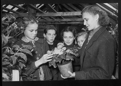 Bioloogia tund Käina 7-aastases koolis. Kasvuhoones õpitakse tundma taimi.  duplicate photo