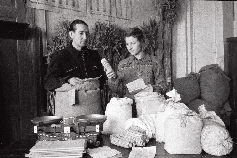 Põlva Riikliku Sordivõrdluskatsepunkti juhataja O. Saabas ja agronoom E. Varik väljaspoolt vabariiki saadud seemneid vastu võtmas.