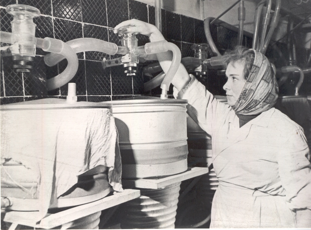 Foto. Väimela Näidissovhoosi piimafarmi brigadir Linda Eskla