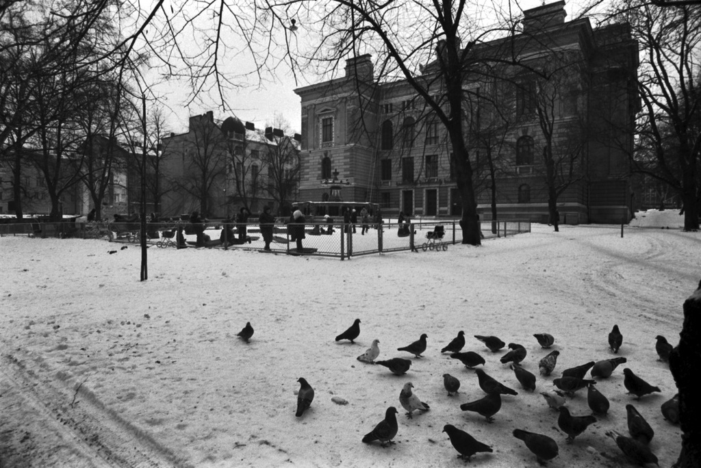 Puluja lumisen Säätytalon puiston laidalla