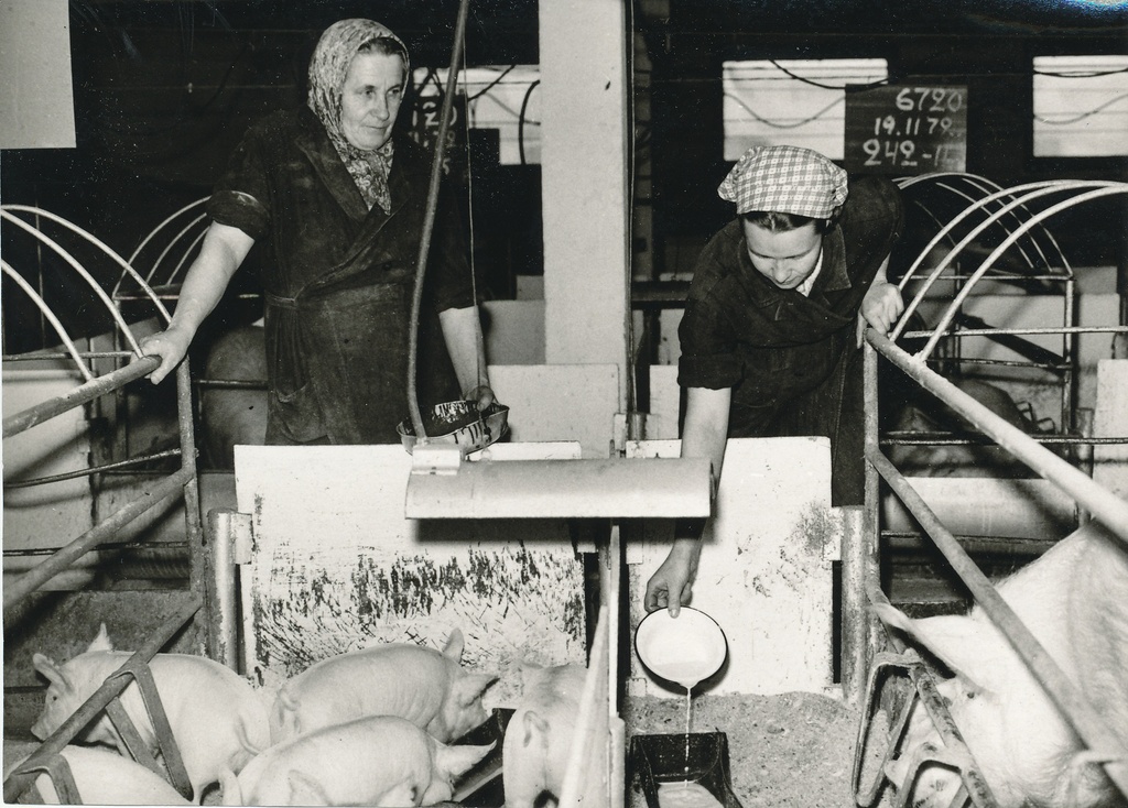 Foto. Väimela Näidissovhoostehnikumi emisetalitaja Aili Ojaste ja Senni Vaasa detsembris 1972.a.