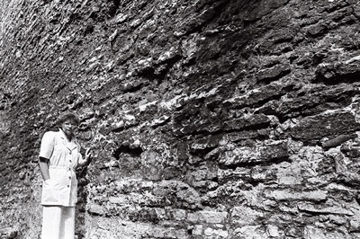 Merle Karusoo  similar photo